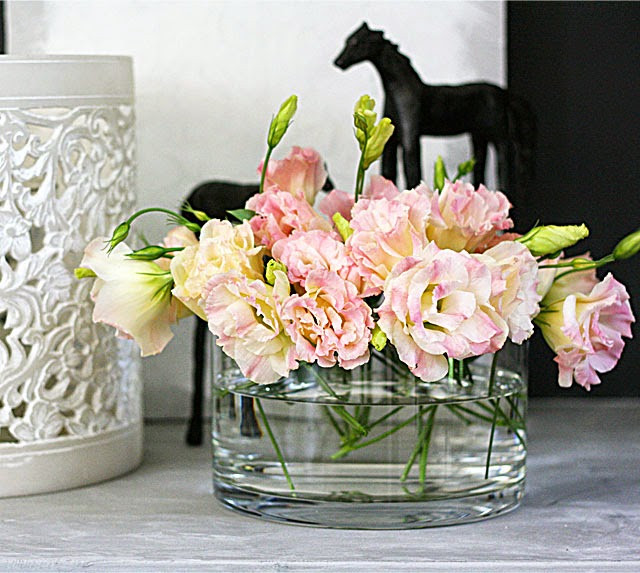 Nếu đặt quá nhiều cây cảnh ở hướng Tây Bắc vô tình khiến cho uy thế, quyền lực của người đàn ông gia tăng. Ảnh: Blogspot.