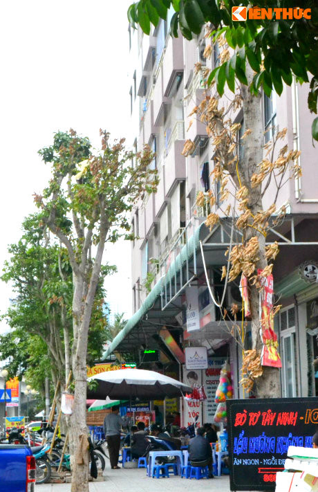 Tại Kết luận Thanh tra số 164/KL-TTr về một số dự án của Xí nghiệp Xây dựng tư nhân số 1 Lai Châu trên địa bàn TP Hà Nội do ông Phạm Gia Yên, Chánh Thanh tra Bộ Xây dựng đã ký và ban hành có nêu, theo quy hoạch được duyệt tòa chung cư VP6 cao 25 tầng, 2 tầng kỹ thuật và 3 tầng hầm. Thế nhưng, chủ đầu tư đã xây vượt thêm 10 tầng thành 35 tầng, 1 tầng áp mái và 1 tầng hầm.