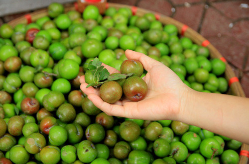 Giá mận đầu mùa hiện tại dao động từ 80.000 -120.000 đồng/kg. Ảnh: Internet.