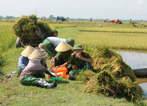 ... nghỉ ngơi, uống nước với bà con sau khi gặt xong.