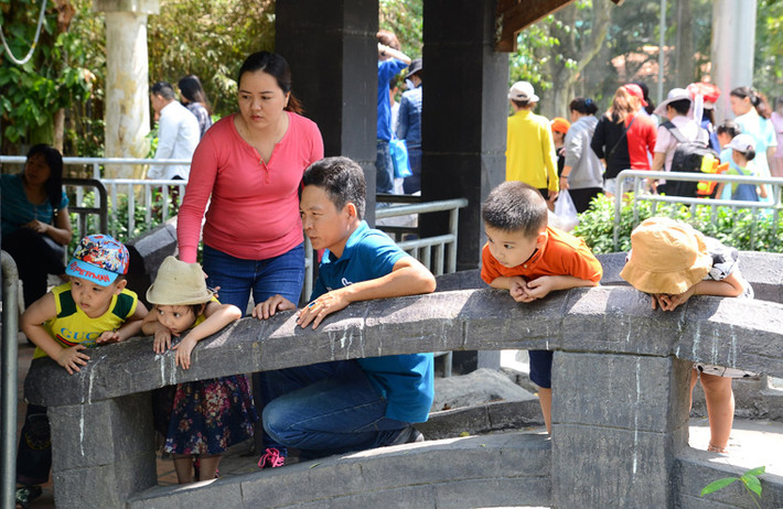Trẻ nhỏ vô cùng háo hức, thích thú khi được tận mắt nhìn thấy những loài thú vốn chỉ từng nghe qua, như Cọp, Beo, Gấu, Voi...