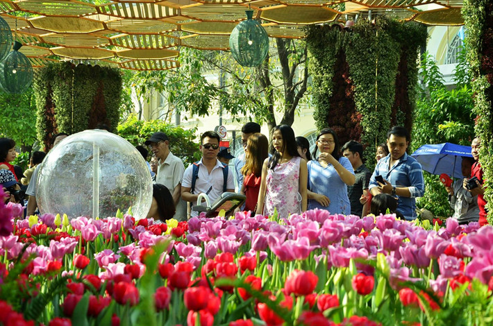 Những khu vực có bóng mát tại đường hoa là điểm trốn nắng lý tưởng của du khách đến tham quan đường hoa.
