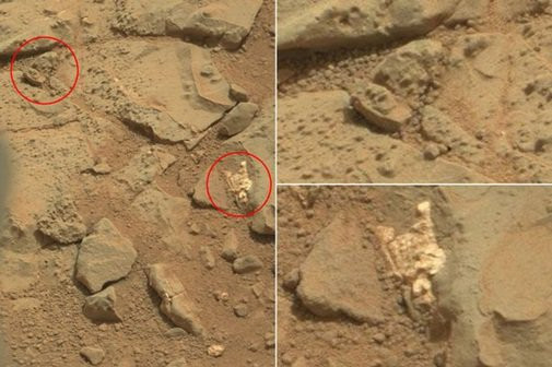 Bức ảnh chụp của NASA cho thấy một vật thể lạ giống xương của người đàn ông tí hon. Có nhà khoa học cho rằng đó là dấu hiệu của sự sống ngoài trái đất.