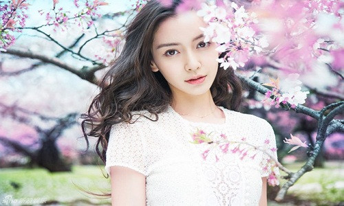 Chiếc mũi cao, cánh mũi to bè lý giải cho ý chí phấn đấu vì sự nghiệp không biết mệt mỏi của Angelababy trong suốt những năm qua cũng như mối nhân duyên tốt đẹp với Huỳnh Hiểu Minh.