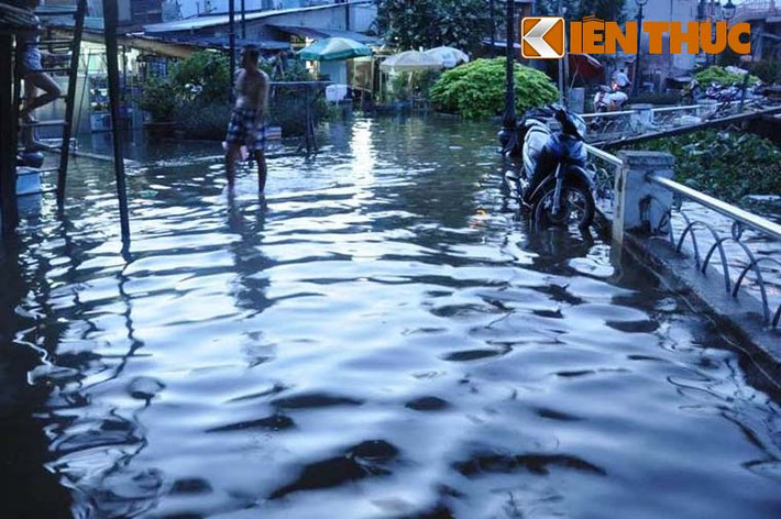 Theo Trung tâm khí tượng thuỷ văn Nam Bộ, đỉnh triều đo được tại trạm Phú An trên sông Sài Gòn đạt mức 1,59m; trạm Nhà Bè 1,58m.