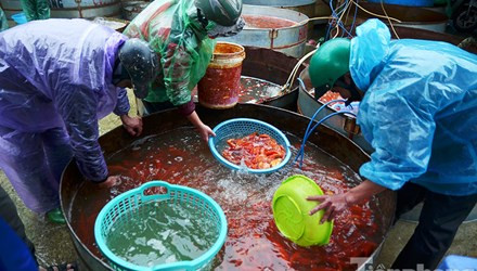 Chợ cá ông Công, ông Táo ở Yên Sở (Hoàng Mai, Hà Nội) là một trong những chợ cá đầu mối lớn nhất tại Hà Nội hiện nay.