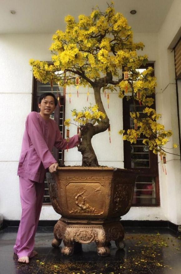 Trong nhà thờ tổ tại Quận 9, Hoài Linh trưng bày rất nhiều cây cảnh, cây bonsai. Ảnh: Khám Phá.