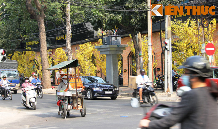Khắp các tuyến phố Sài Gòn đều rực rỡ sắc màu mùa xuân.