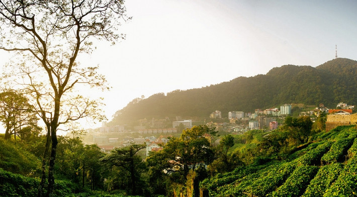 Tam Đảo - Vĩnh Phúc: Cách Hà Nội 85km, thuộc địa bàn tỉnh Vĩnh Phúc (mất khoảng 2h đi xe). Tam Đảo luôn là một địa điểm du lịch hot nhất gần Hà Nội vào dịp 2/9 mà các bạn không thể bỏ qua. Tại Tam Đảo, thời tiết và nhiệt độ luôn luôn mát mẻ và nơi đây có nhiều nơi có phong cảnh đẹp, nhiều món ăn ngon nên đảm bảo bạn và gia đình sẽ cực kỳ thích thú.