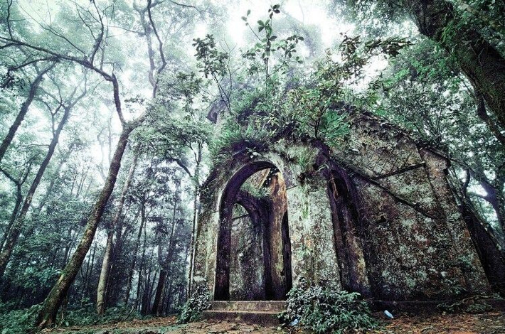 Vườn quốc gia Ba Vì: Cách trung tâm Hà Nội chưa đầy 60km, Ba Vì nổi tiếng là điểm đến lý tưởng dành cho du khách yêu thích không khí trong lành mát mẻ cùng khung cảnh hoang sơ, hùng vĩ của thiên nhiên rừng núi. Nổi bật giữa không gian núi rừng ngút ngàn sắc xanh.