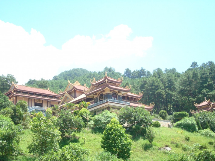 Thiền viện trúc lâm Tây Thiên: Với diện tích khoảng 148ha, quần thể di tích Tây Thiên nằm trong một vùng đa dạng sinh học với gần 500 loài thực vật và 300 loài động vật, trong đó có nhiều loài quý hiếm. Tại Tây Thiên có những cây thông đã sống đến ngàn năm tuổi, kiêu hãnh vươn mình và tỏa bóng xuống những lối đi quanh co trong rừng.