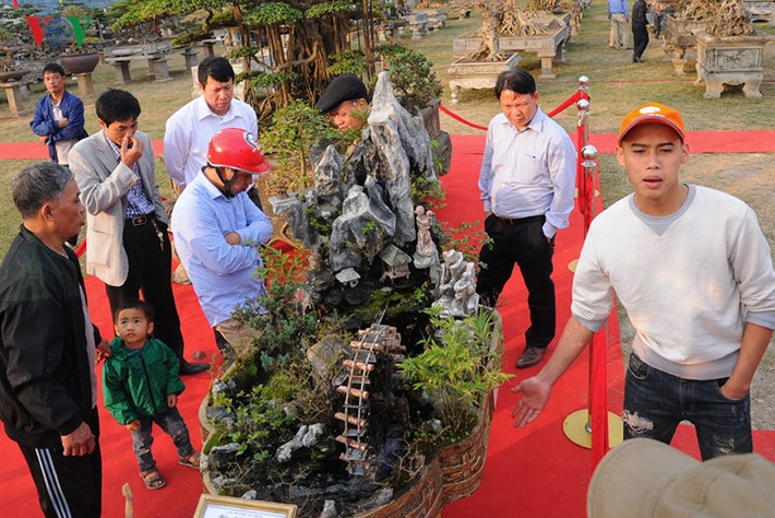 Tác phẩm kỳ công của ông hiện đang được trưng bày tại tại một triển lãm sinh vật cảnh ở Phúc Thọ, Hà Nội và thu hút rất nhiều người tham quan, chiêm ngưỡng.