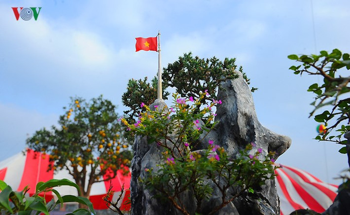 ...khiến người xem nhớ về nguồn cội và khơi dậy tình yêu quê hương, đất nước.