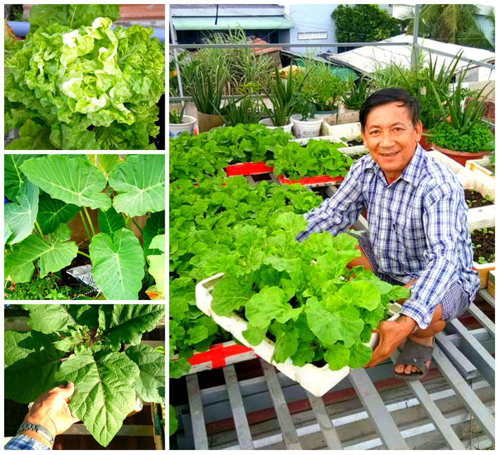 Hay cà chua bi, cải ngọt, cải mâm xôi, cải thìa, mướp đắng, xà lách, dọc mùng...