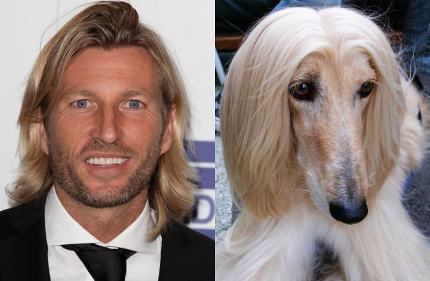 Mái tóc dài của Robbie Savage bị ví với cún yêu.