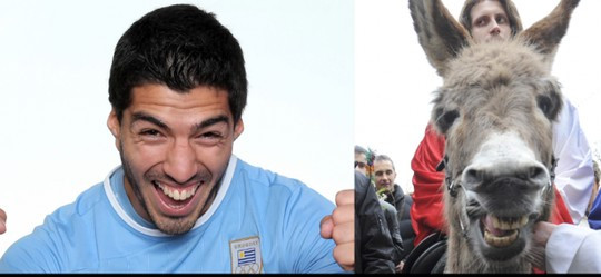 Tiền đạo Suarez cười như một chú lừa.