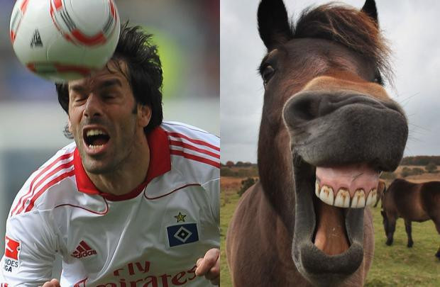 Ruud van Nistelrooy và con ngựa.