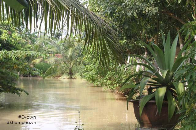 Mảnh đất từng được gọi là nơi “đồng không mông quạnh” được thiết kế thành khu nhà vườn tràn ngập cây xanh. Ảnh: Khám phá.