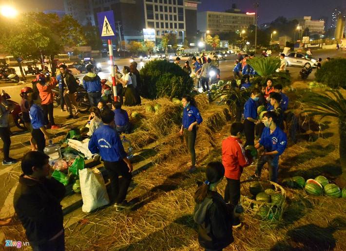 Đầu mùa, giá dưa hấu mua tại ruộng ở Quảng Ngãi khoảng 500-1.000 đồng/kg nhưng nhiều khi cũng không bán được. Nông dân cho trâu bò ăn dưa thay cỏ.