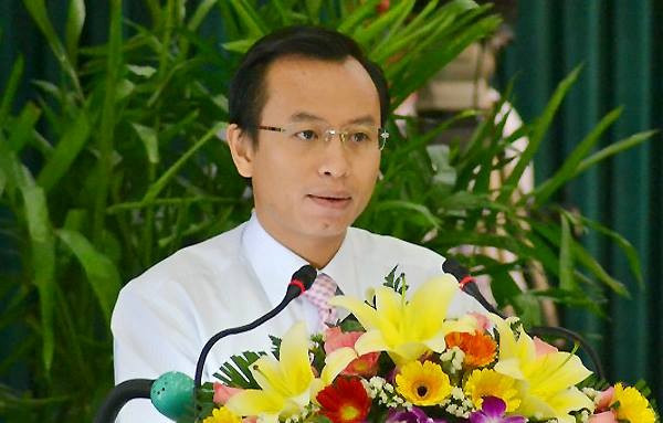 Trước khi giữ chức Phó Bí thư Đà Nẵng, ông Nguyễn Xuân Anh đã kinh qua các chức vụ phó giám đốc Trung tâm Xúc tiến đầu tư TP Đà Nẵng, rồi phó chủ tịch Thường trực UBND quận Liên Chiểu, sau đó là phó Bí thư Quận ủy Liên Chiểu rồi Bí thư Quận ủy Liên Chiểu. Ngày 20/6/2011, ông được HĐND TP Đà Nẵng bầu giữ chức phó chủ tịch UBND thành phố. Ngày 2/4/2014, Ban Chấp hành Đảng bộ TP Đà Nẵng đã bầu ông Nguyễn Xuân Anh giữ chức phó Bí thư Thành ủy nhiệm kỳ 2010-2015.