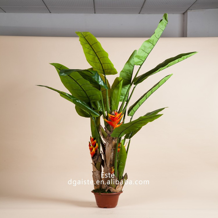 Bonsai chuối tràng pháo với màu hoa đỏ tượng trưng cho sự may mắn. Ảnh: Vietnamese.alibaba.com