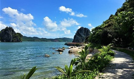 Gần đó, trên đảo Soi Dâu, ông Phạm Thế Duy được cho thuê đất lâm nghiệp từ năm 2009 để trồng rừng. Thế nhưng, sau đó, ông Duy đã sử dụng đất rừng để xây nhà tầng, kè, cầu tàu... Hồ sơ xử lý vi phạm có yêu cầu cưỡng chế từ năm 2012 nhưng đến nay vẫn chưa thực hiện. Ảnh: Internet.