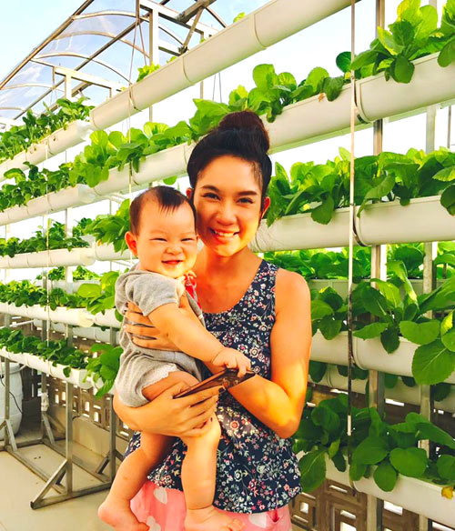 Ngoài ra, nhiều loại cây ăn trái do Lý Hải trồng cũng ra trái trĩu trịt. Ảnh: Yan.