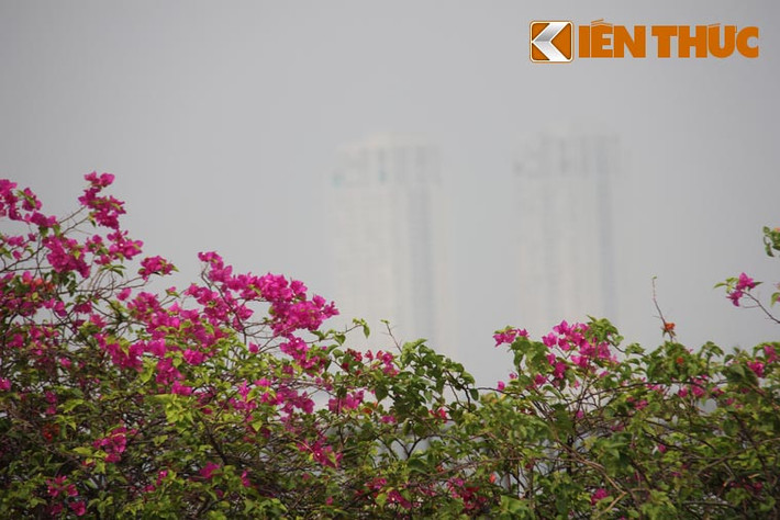 Không chỉ ở hướng trung tâm thành phố, vùng ngoại thành cửa ngõ phía Đông Bắc sương mù cũng dày đặc phủ kín.