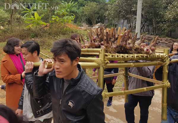 Nhiều sản vật đặc trưng của địa phương được mang trưng bày tại lễ hội như củ rong giềng, dầu sở..