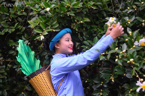 Nụ cười cô gái tươi như những bông hoa Sở đang khoe sắc.