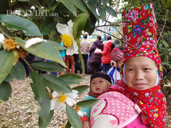 Hàng ngàn du khách, khách tham quan đổ về đây để được tận mắt chiêm ngưỡng vẻ đẹp của những bông hoa sở trắng tinh khiết. Những người dân tộc Dao tại đây cũng dành một ngày để có cơ hội hòa mình vào không gian của lễ hội.