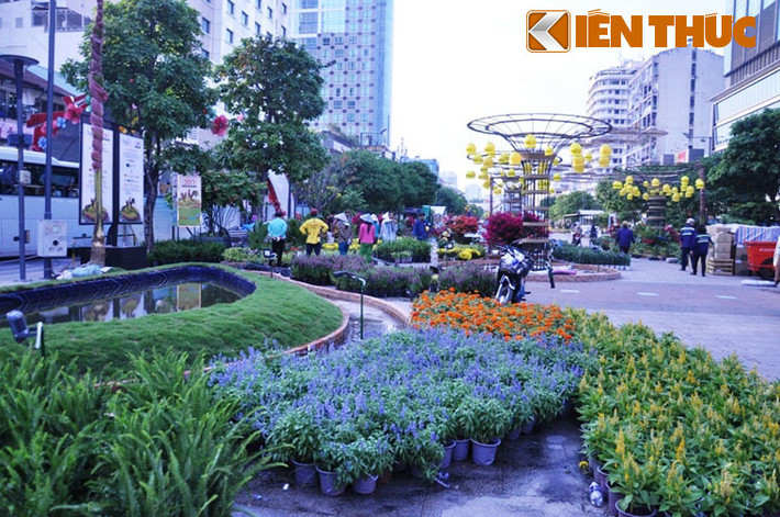 Phân đoạn "Khát vọng ngời sáng" mở đầu với tiểu cảnh đặc biệt "Sắc xuân" gồm nhiều chủng loại hoa lạ, đẹp được đưa về từ những địa phương hoa nổi tiếng trong nước và nhập ở nước ngoài như hoa shampoo ginger, hoa protea, hoa alium.