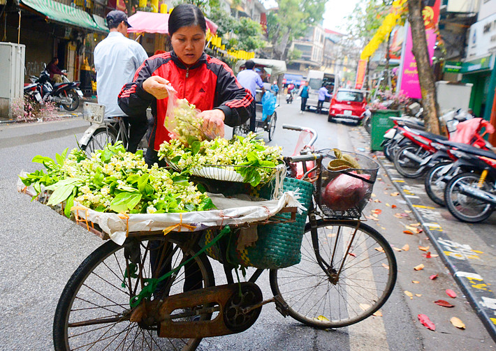  Hoa bưởi đầu mùa đang trở thành món hàng hot sau dịp Tết Nguyên đán ở Hà Nội. Hoa bưởi được bán nhiều nhất trên các phố Hàng Ngang, Đồng Xuân, Xã Đàn, đường Phạm Ngọc Thạch…