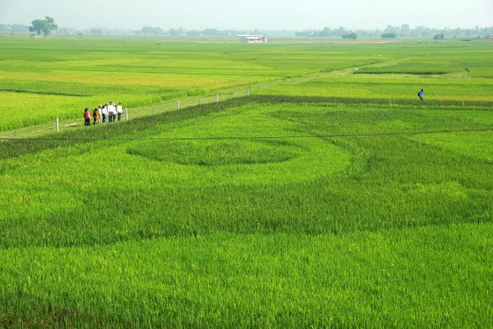 Tấm bản đồ Việt Nam đặc biệt được nhìn từ trên xuống,