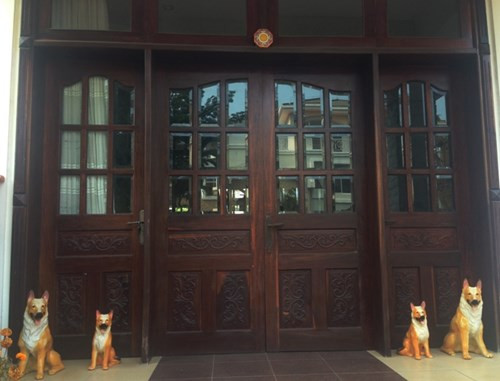 Tuy nhiên, trên thực tế, nguyên nhân căn biệt thự ở khu phố chính Phú Mỹ Hưng bị bỏ hoang là do lúc thi công, chủ xây dựng căn biệt thự này đã không xây dựng đúng với bản vẽ nên bị cơ quan chức năng đình chỉ thi công.