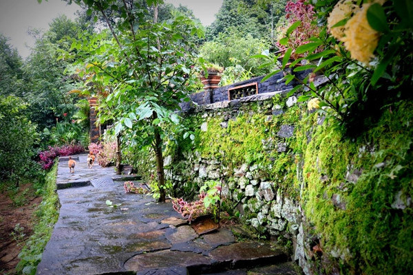 Nhà nằm trong khuôn viên rộng hơn 4ha, phía trước ngôi nhà có bể cá, vườn cây cảnh. Bên trong nhà là những vật dụng cũ kỹ, từ bàn, ghế, phản, tủ đến cánh cửa, cột nhà,... nhưng vẫn còn chắc chắn. Ngôi nhà cổ mát lạnh vào mùa hè và ấm áp khi mùa đông, là nơi che chắn mưa bão của thế hệ trước và được thế hệ sau giữ gìn, bảo vệ. Ảnh: Tiền phong.