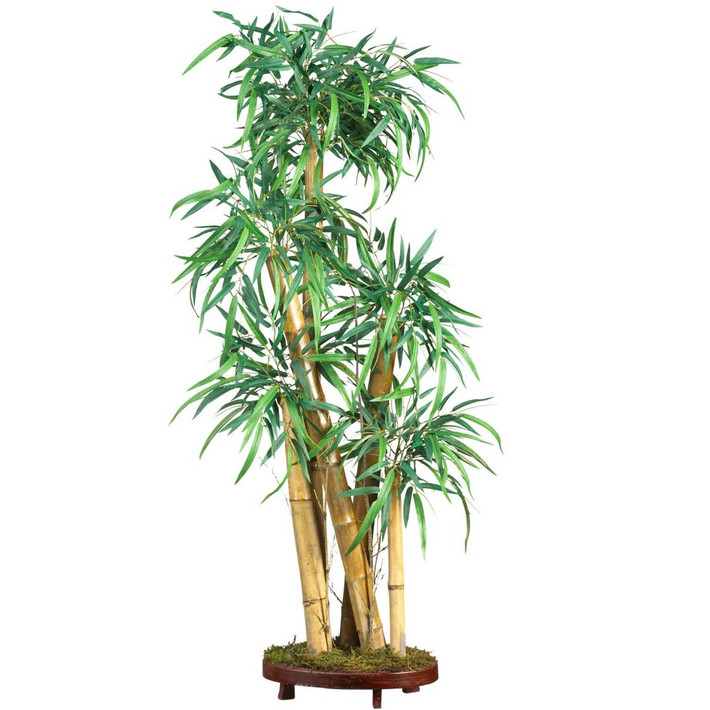 Nếu bạn muốn trồng tre để phòng tránh dịch bệnh, thì nên chọn bụi tre gồm bốn thân cây.