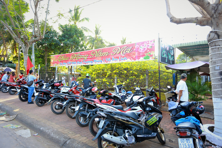 Xe cộ của những người tới thăm cây mai khủng nhất Việt Nam đậu kín vỉa hè những ngày đầu năm.