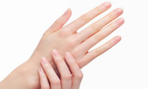 Bàn tay vừa phải, không to, không nhỏ là người hiểu biết và rất khéo léo trong cách ứng xử với mọi người. Nếu biết chịu đựng, họ sẽ thành công.