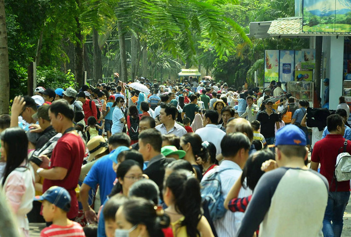 Người dân chen chân mua vé vào Thảo cầm viên.