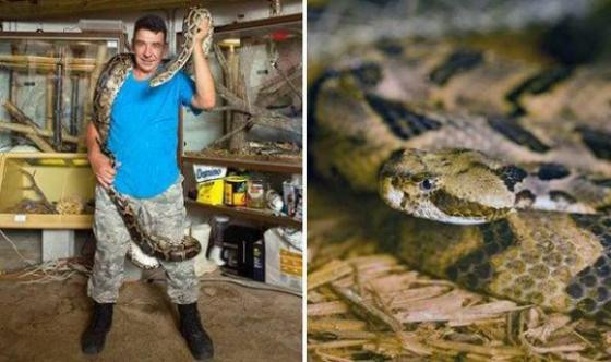 Albert Kilian đến từ bang Florida, Mỹ đang giữ khoảng 60 con rắn trong phòng ngủ của mình. Ông đặc biệt quan tâm tới loài bò sát từ khi 8 tuổi và bắt đầu sưu tầm rắn năm 20 tuổi.