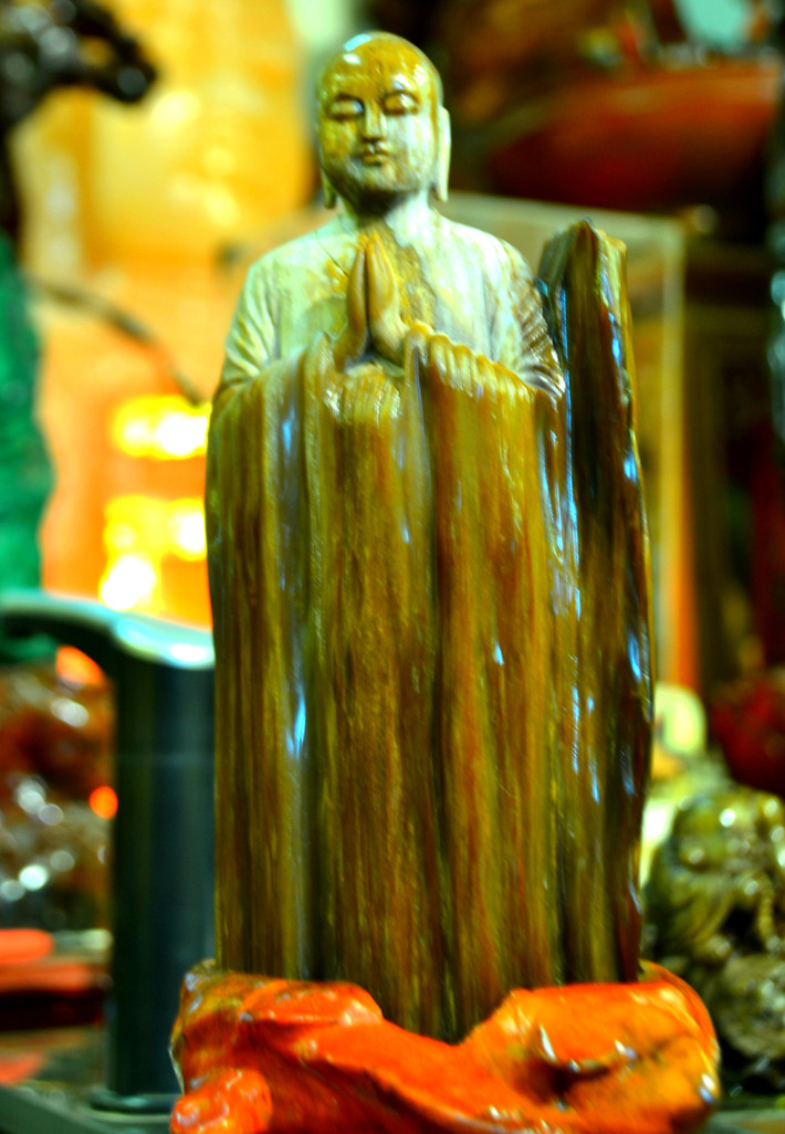 Pho tượng gỗ hóa thạch có màu nâu vàng xen lẫn trắng, cao 20cm. Khi nhìn bằng kính hiển vi, chúng ta có thể thấy trong gỗ hóa thạch những vòng sinh trưởng, những cấu trúc tế bào rất tinh vi hay những họa tiết thứ cấp trông giống như những đường phân chia trên bề mặt đá ngọc bích hay mã não.
