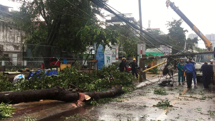 Cây xanh cũng bị gió giật gây ngã đổ ở nhiều tuyến đường TP.HCM.