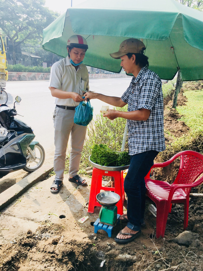 Giá rau choại dao động từ 30.000 đến 40.000 đồng 1 kg.