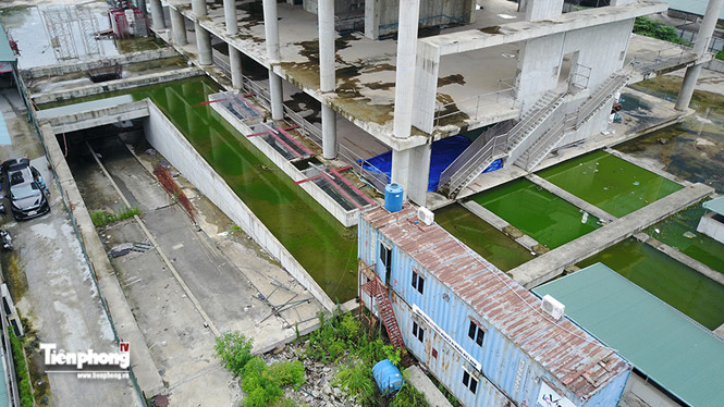 Tuy nhiên dự án này đã mấy năm nay không thể hoàn thiện, cỏ hoang hóa đã mọc phủ kín cả cánh cổng ra vào công trường xây dựng.