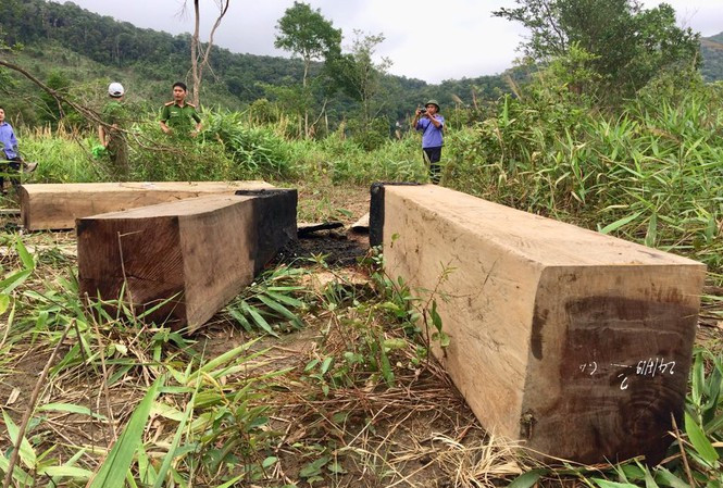 Bắt lâm tặc, 2 kiểm lâm bất ngờ bị đâm nhiều nhát: Ngày 6/9, một lãnh đạo Hạt Kiểm lâm huyện Ia Pa, cho biết đang phối hợp với cơ quan chức năng điều tra, truy tìm các đối tượng dùng dao nhọn đâm 2 cán bộ kiểm lâm khi đang làm nhiệm vụ. Vào lúc 00h ngày 2/9, lợi dụng thời tiết giông sét, mưa gió, 2 đối tượng không rõ lai lịch đi bộ lẻn vào phía sau dùng dao nhọn đâm 2 cán bộ, rồi bỏ chạy.
