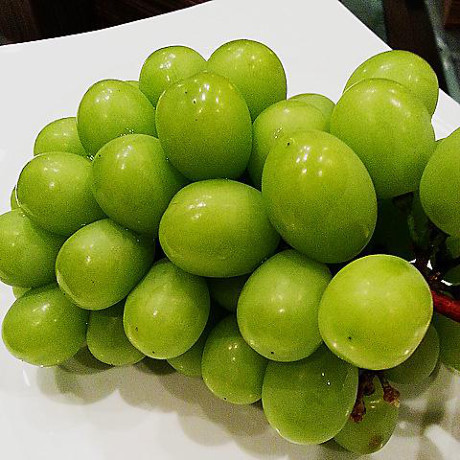 Nho đầu mùa được xách tay về Việt Nam với giá 3 triệu đồng/kg, khi vào mùa rộ, giá ở mức 900.000 - 1.4 00.000 đồng /kg. Mùa nho mẫu đơn kéo dài từ tháng 6 đến tháng 11.