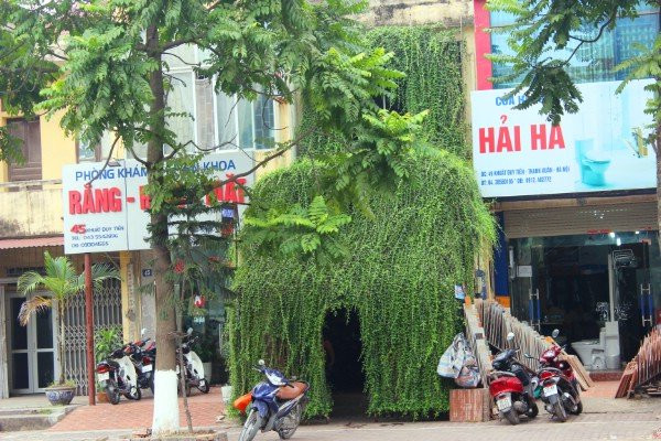 3. Nhà dây leo kỳ dị nhất Hà Nội Ngôi nhà dây leo kỳ dị nhất Hà Nội nằm trên đường Khuất Duy Tiến, quận Thanh Xuân. Chủ nhân của nó là ông Đinh Công Đoàn (sinh năm 1947). Điều đặc biệt của căn nhà là phía trước được bao phủ cây xanh từ tầng 2 xuống. Ảnh: Đại Lộ.
