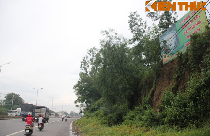 Ngay khúc cua con dốc, đoạn giáp giữa TP Biên Hoà và huyện Long Thành (tỉnh Đồng Nai), là đồi cây rậm rạp.