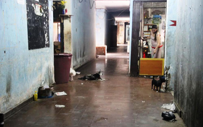 Dù phải sống trong cảnh "ai đến cũng sợ" nhưng 13 hộ dân nói trên đành cắn răng chịu đựng vì theo họ, với số tiền đền bù khoảng 150 triệu đồng, họ chẳng thể tìm nơi cư ngụ nào khác giữa vùng đất Sài Gòn.